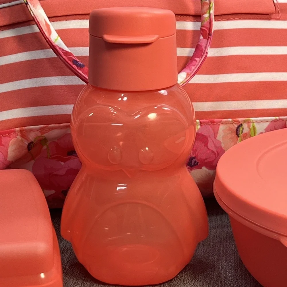 Tupperware Peach/Pink Floral Lunch Insulated‎ Tote Bag with Soup Sandwich & Cup